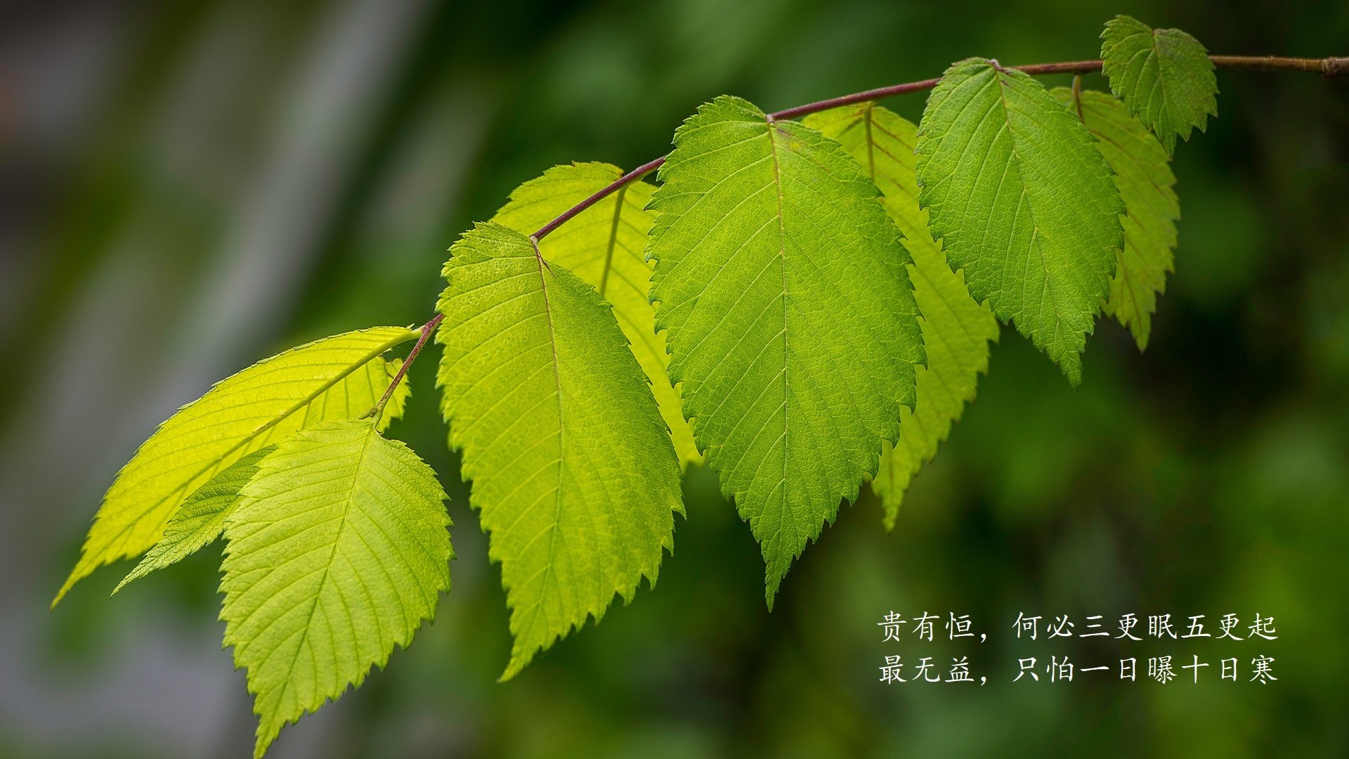 世界学生水球夜赛：照明策略与节奏转换成胜负关键，水球时间表